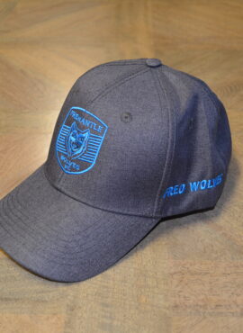 Grey Cap witth Blue Embroidery